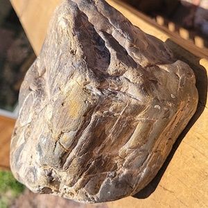 4lbs 3.3oz Az rainbow naturally smooth Agatized petrified wood